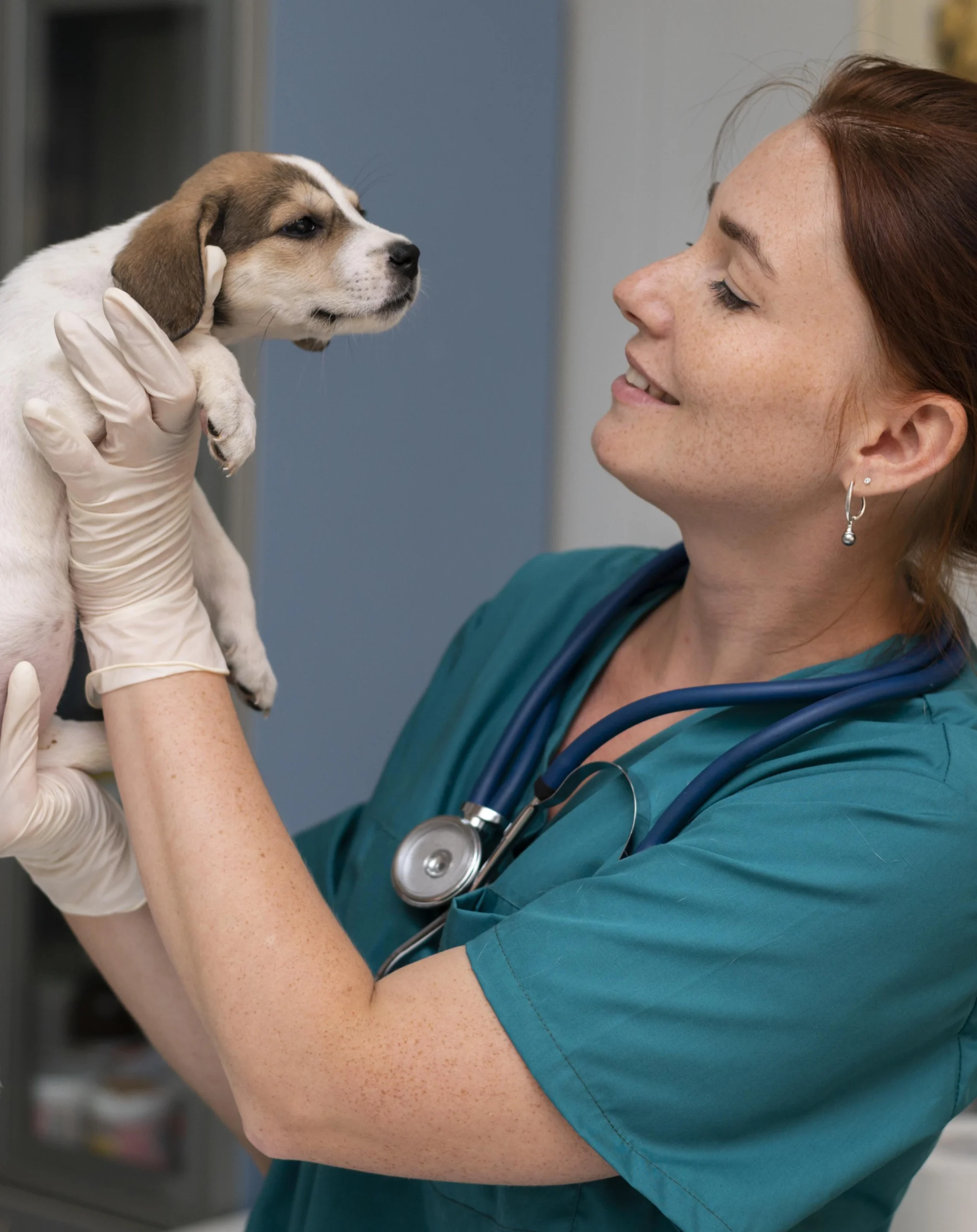 Veterinary Healthcare